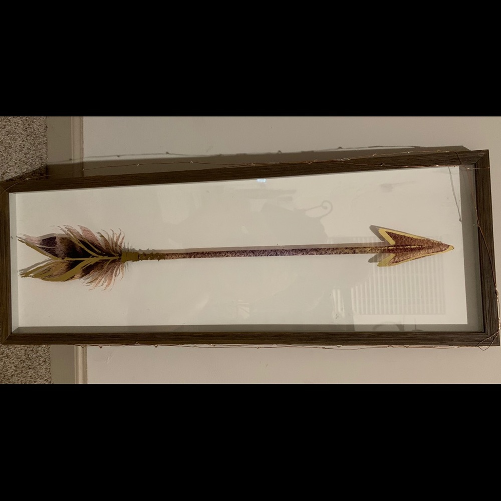Arrow head with glass cover and wooden frame
